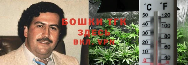 дживик Алапаевск